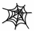  Spider Web